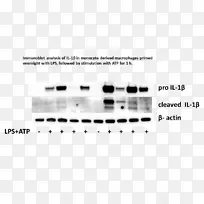 文件线角设计-空若网 文件线角设计-空若网