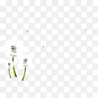 蝴蝶图案-蒲公英装饰-空若网 蝴蝶图案-蒲公英装饰-空若网