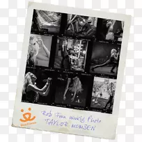 摄影纸海报摄影-泰勒·蒙森-空若网 摄影纸海报摄影-泰勒·蒙森-空若网