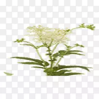 �ݵ���ֽ��װ������ֽ-������