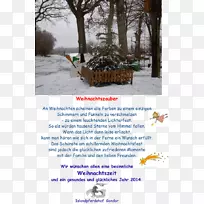 广告树-空若网 广告树-空若网