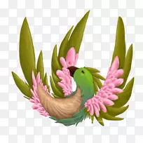 花卉设计花盆花瓣开花植物设计-空若网 花卉设计花盆花瓣开花植物设计-空若网