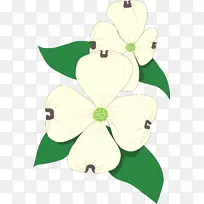 花卉设计-免费剪贴画-设计-空若网 花卉设计-免费剪贴画-设计-空若网