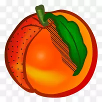 ���Ӽ�����-��������-������