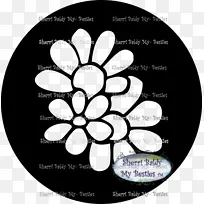 花白色品牌字体-空若网 花白色品牌字体-空若网