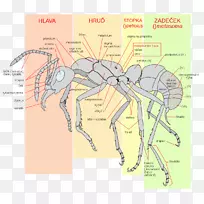 �������������������-����-������