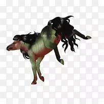 狗鼻子牲畜-狗-空若网 狗鼻子牲畜-狗-空若网