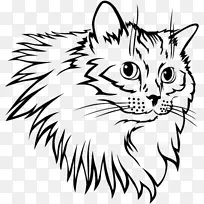 小猫毛茸茸的扇子夹艺术-可爱的手画猫鼻子-空若网 小猫毛茸茸的扇子夹艺术-可爱的手画猫鼻子-空若网