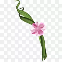 花卉设计切花花束植物茎花-空若网 花卉设计切花花束植物茎花-空若网