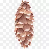 Ë®²Ê».»×¶-¿ÕÈôÍø Ë®²Ê».»×¶-¿ÕÈôÍø