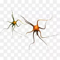 �Ѹ�֩������STX g.1800e.j.m.v.u.nr yn������-����-������