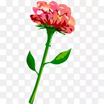 植物茎,花瓣,叶夹艺术-花小-空若网 植物茎,花瓣,叶夹艺术-花小-空若网