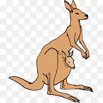 ����������ݴ�������-����-������