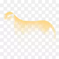 猫犬鼻子-皇家狮子-空若网 猫犬鼻子-皇家狮子-空若网