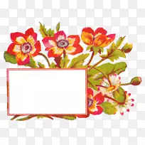 花卉设计标签切花-空若网 花卉设计标签切花-空若网