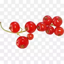 红醋栗-смородина-空若网 红醋栗-смородина-空若网