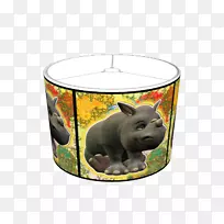 ����-��-������