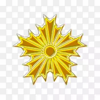 �ԳƷ��Ż��Ʒ���-������