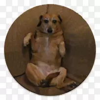 С��Ʒ��-С��-������