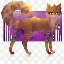 胡须小猫鼻子小猫-空若网 胡须小猫鼻子小猫-空若网