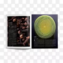 杂志热敏品牌Vorwerk平面设计-chikki-空若网 杂志热敏品牌Vorwerk平面设计-chikki-空若网