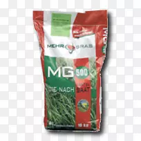 nachsaatÄÁ²Ý²¥ÖÖ²Ý-¿ÕÈôÍø nachsaatÄÁ²Ý²¥ÖÖ²Ý-¿ÕÈôÍø