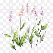 巴库花节花束-花束-空若网 巴库花节花束-花束-空若网