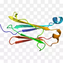 线点生物剪贴画线-空若网 线点生物剪贴画线-空若网