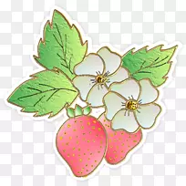 水果中心博客草莓ULead照片冲击-框架-空若网 水果中心博客草莓ULead照片冲击-框架-空若网