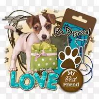 狗繁殖小狗带鼻子-小狗-空若网 狗繁殖小狗带鼻子-小狗-空若网