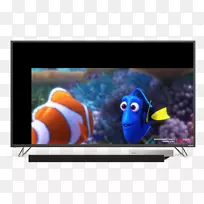 Dory电视机马林视频电脑监视器找到杜丽-空若网 Dory电视机马林视频电脑监视器找到杜丽-空若网