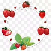 ��ݮ֥ʿ����ʳƷ-��ݮ-������