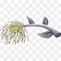 剪贴画-银树枝-空若网 剪贴画-银树枝-空若网