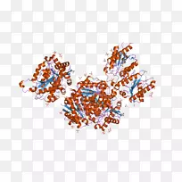 �����鱦����-������