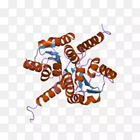 昆虫艺术食品剪贴画昆虫-空若网 昆虫艺术食品剪贴画昆虫-空若网