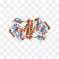 �ߵ������-��-������