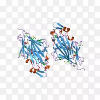 人体珠宝线有机体剪贴画线-空若网 人体珠宝线有机体剪贴画线-空若网