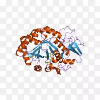 食品剪贴画-ebi-空若网 食品剪贴画-ebi-空若网