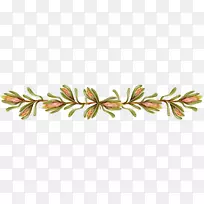 花卉设计.花边-空若网 花卉设计.花边-空若网