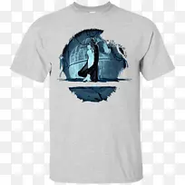 t����ñ������t��-������