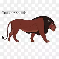 ʨ�ӹ�è½�ض��������-ʨ��-������