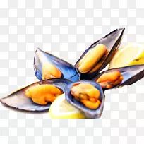 ���ݱ����������ٲ�������-������