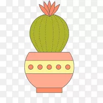 仙人掌科植物-仙人掌植物-空若网 仙人掌科植物-仙人掌植物-空若网