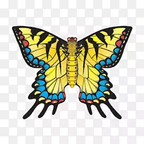 ��������������β����-����-������