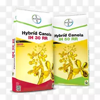 早餐谷类食品风味-早餐-空若网 早餐谷类食品风味-早餐-空若网