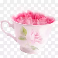 ���ȱ��豭Ũ����-������