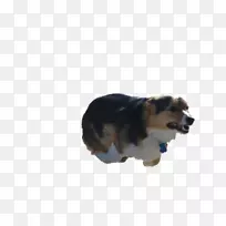 Ȯ��С����Ȯ����-�»�-������