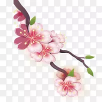 樱花画水彩画樱花设计-空若网 樱花画水彩画樱花设计-空若网