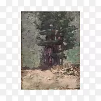 树-树-空若网 树-树-空若网