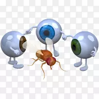 摄影眼睛手臂-眼睛-空若网 摄影眼睛手臂-眼睛-空若网